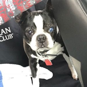 Meet your Posher, Abbie